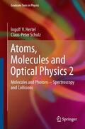 Schulz / Hertel |  Atoms, Molecules and Optical Physics 2 | Buch |  Sack Fachmedien