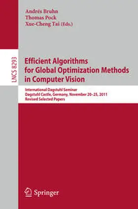 Bruhn / Pock / Tai |  Efficient Algorithms for Global Optimization Methods in Computer Vision | eBook | Sack Fachmedien