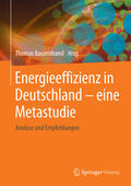 Bauernhansl |  Energieeffizienz in Deutschland - eine Metastudie | eBook | Sack Fachmedien