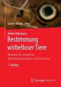 Köhler / Bährmann / Müller |  Müller/Bährmann Bestimmung wirbelloser Tiere | Buch |  Sack Fachmedien