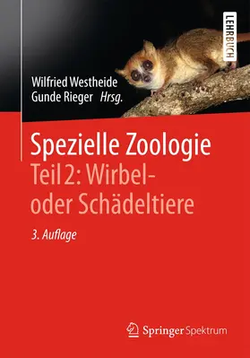Westheide / Rieger | Spezielle Zoologie. Teil 2: Wirbel- oder Schädeltiere | Buch | 978-3-642-55435-3 | www.sack.de