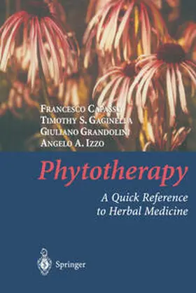 Capasso / Gaginella / Grandolini |  Phytotherapy | eBook | Sack Fachmedien