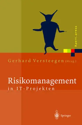 Versteegen |  Risikomanagement in IT-Projekten | eBook | Sack Fachmedien