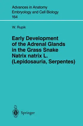 Rupik | Early Development of the Adrenal Glands in the Grass Snake Natrix natrix L. (Lepidosauria, Serpentes) | E-Book | sack.de