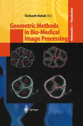 Malladi | Geometric Methods in Bio-Medical Image Processing | E-Book | sack.de