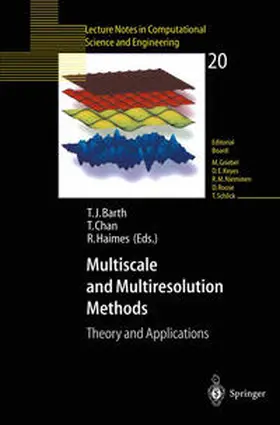 Barth / Chan / Haimes | Multiscale and Multiresolution Methods | E-Book | sack.de