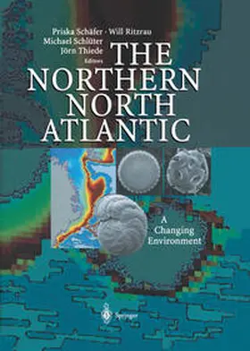 Schäfer / Ritzrau / Schlüter |  The Northern North Atlantic | eBook | Sack Fachmedien