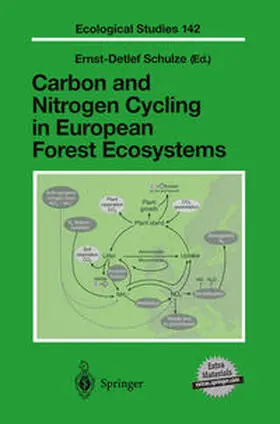 Carbon and Nitrogen Cycling in European Forest Ecosystems | E-Book | www.sack.de
