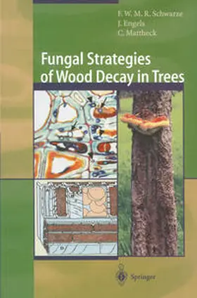 Schwarze / Engels / Mattheck | Fungal Strategies of Wood Decay in Trees | E-Book | www.sack.de