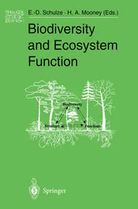 Schulze / Mooney |  Biodiversity and Ecosystem Function | eBook | Sack Fachmedien