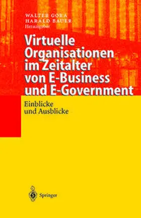 Gora / Bauer |  Virtuelle Organisationen im Zeitalter von E-Business und E-Government | eBook | Sack Fachmedien