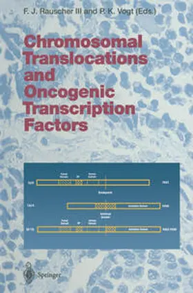 Rauscher / Vogt |  Chromosomal Translocations and Oncogenic Transcription Factors | eBook | Sack Fachmedien