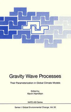 Hamilton |  Gravity Wave Processes | eBook | Sack Fachmedien