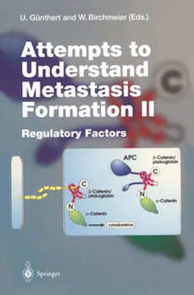 Günthert / Birchmeier |  Attempts to Understand Metastasis Formation II | eBook | Sack Fachmedien