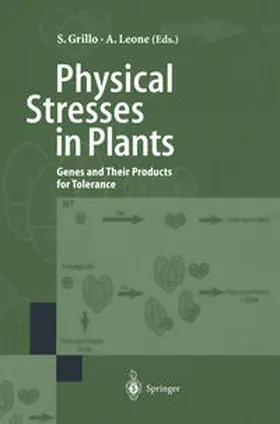 Grillo / Leone |  Physical Stresses in Plants | eBook | Sack Fachmedien