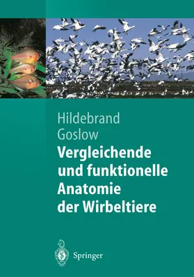 Hildebrand / Goslow |  Vergleichende und funktionelle Anatomie der Wirbeltiere | Buch |  Sack Fachmedien