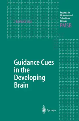 Kostovic |  Guidance Cues in the Developing Brain | Buch |  Sack Fachmedien