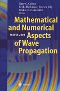 Cohen / Neittaanmäki / Heikkola |  Mathematical and Numerical Aspects of Wave Propagation WAVES 2003 | Buch |  Sack Fachmedien