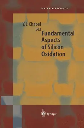 Chabal | Fundamental Aspects of Silicon Oxidation | Buch | 978-3-642-62583-1 | sack.de