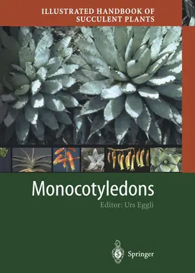 Eggli |  Illustrated Handbook of Succulent Plants: Monocotyledons | Buch |  Sack Fachmedien