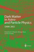 Viollier / Klapdor-Kleingrothaus |  Dark Matter in Astro- and Particle Physics | Buch |  Sack Fachmedien