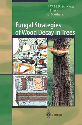 Schwarze / Mattheck / Engels |  Fungal Strategies of Wood Decay in Trees | Buch |  Sack Fachmedien