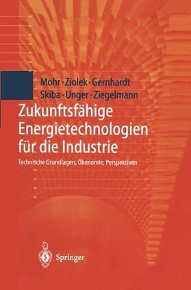 Gernhardt / Mohr / Ziolek | Zukunftsfähige Energietechnologien für die Industrie | Buch | 978-3-642-63767-4 | sack.de