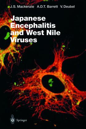 Mackenzie / Deubel / Barrett | Japanese Encephalitis and West Nile Viruses | Buch | 978-3-642-63966-1 | sack.de