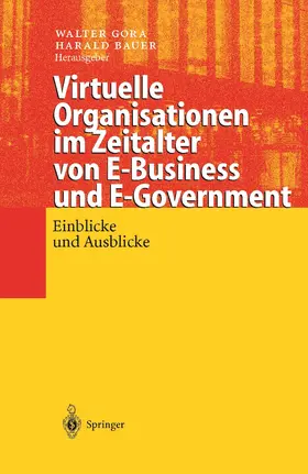Bauer / Gora |  Virtuelle Organisationen im Zeitalter von E-Business und E-Government | Buch |  Sack Fachmedien