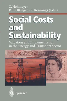 Hohmeyer / Ottinger / Rennings |  Social Costs and Sustainability | Buch |  Sack Fachmedien