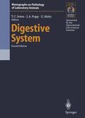 Jones / Mohr / Popp |  Digestive System | Buch |  Sack Fachmedien