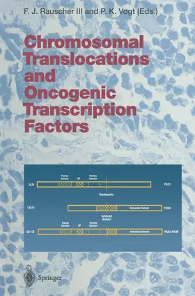 Rauscher / Vogt |  Chromosomal Translocations and Oncogenic Transcription Factors | Buch |  Sack Fachmedien