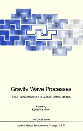 Hamilton |  Gravity Wave Processes | Buch |  Sack Fachmedien
