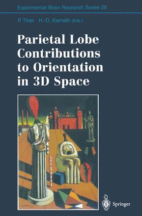 Karnath / Thier | Parietal Lobe Contributions to Orientation in 3D Space | Buch | 978-3-642-64498-6 | sack.de