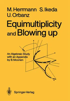 Herrmann / Ikeda / Orbanz |  Equimultiplicity and Blowing Up | Buch |  Sack Fachmedien