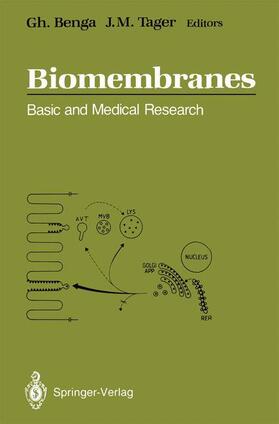 Tager / Benga | Biomembranes | Buch | 978-3-642-64815-1 | sack.de