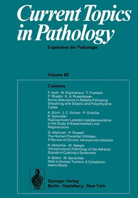 Kirsten / Grundmann |  Current Topics in Pathology / Ergebnisse der Pathologie | Buch |  Sack Fachmedien