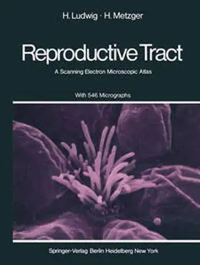 Ludwig / Metzger |  The Human Female Reproductive Tract | eBook | Sack Fachmedien