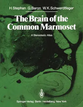Stephan / Baron / Schwerdtfeger |  The Brain of the Common Marmoset (Callithrix jacchus) | eBook | Sack Fachmedien
