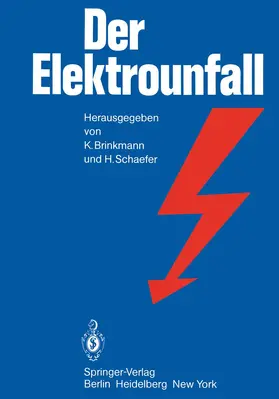 Brinkmann / Schaefer |  Der Elektrounfall | Buch |  Sack Fachmedien