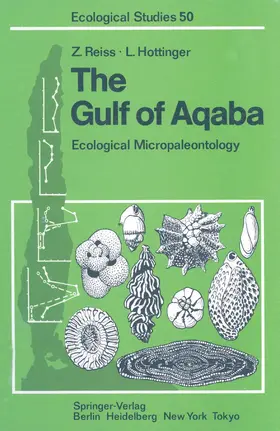 Reiss / Hottinger |  The Gulf of Aqaba | Buch |  Sack Fachmedien