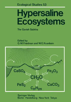 Friedman / Krumbein |  Hypersaline Ecosystems | Buch |  Sack Fachmedien