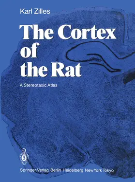 Zilles |  The Cortex of the Rat | Buch |  Sack Fachmedien