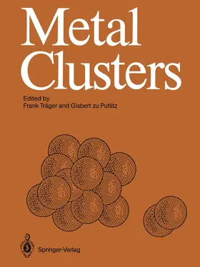 Putlitz / Träger |  Metal Clusters | Buch |  Sack Fachmedien