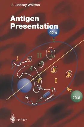 Whitton |  Antigen Presentation | Buch |  Sack Fachmedien
