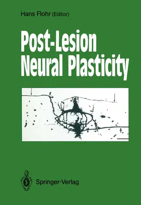 Flohr |  Post-Lesion Neural Plasticity | Buch |  Sack Fachmedien