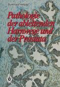Helpap |  Pathologie der ableitenden Harnwege und der Prostata | Buch |  Sack Fachmedien