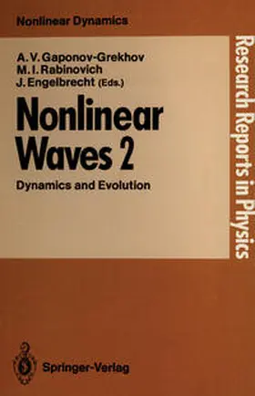 Gaponov-Grekhov / Rabinovich / Engelbrecht |  Nonlinear Waves | eBook | Sack Fachmedien