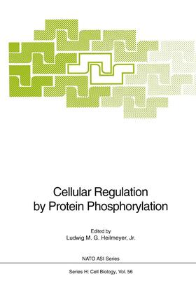 Heilmeyer | Cellular Regulation by Protein Phosphorylation | Buch | 978-3-642-75144-8 | sack.de