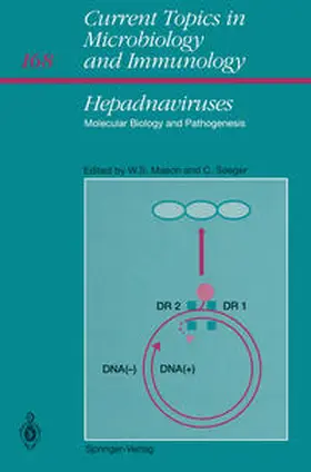 Mason / Seeger |  Hepadnaviruses | eBook | Sack Fachmedien